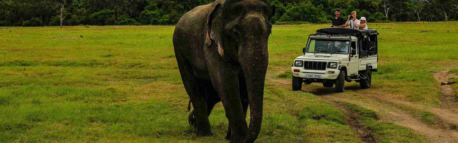 Jeep Safari