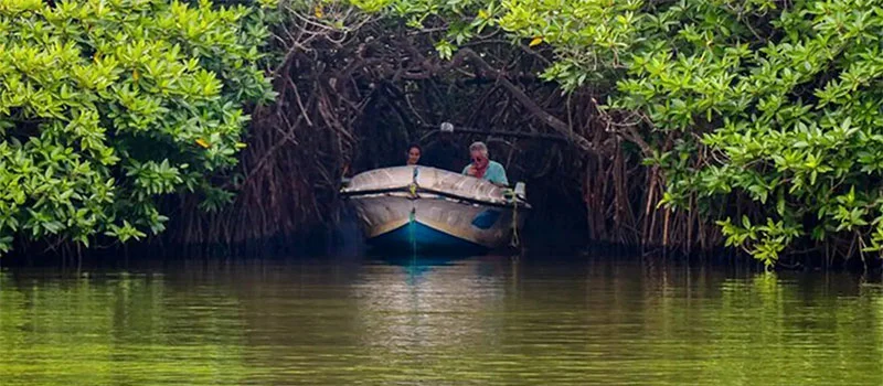 Madu river boat ride