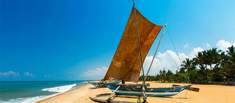 Negombo Boat rides