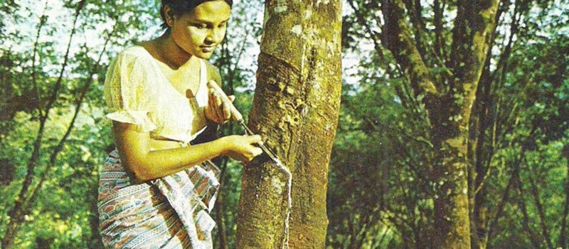 woman tapping rubber