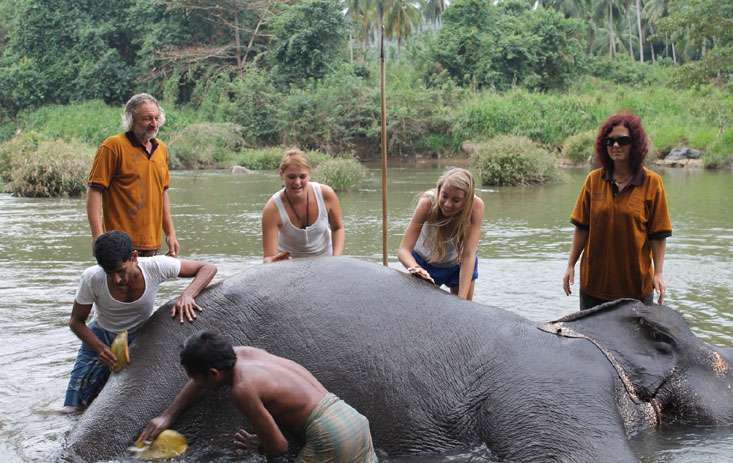 bathing_elephant